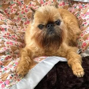 Meet your Posher, Nikki